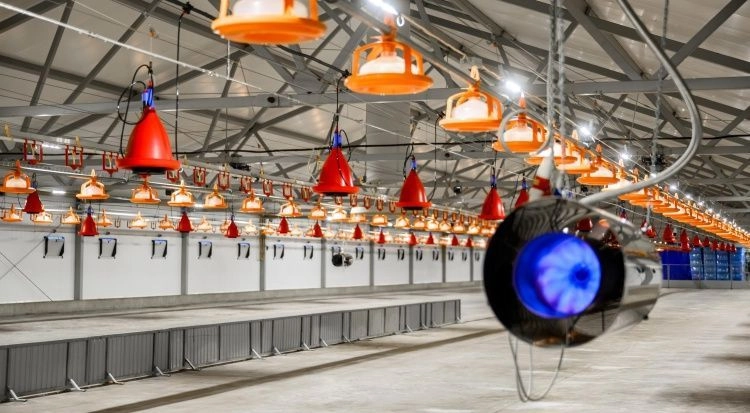 В Пензенской области началось строительство птицеводческого блока