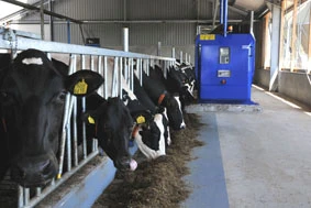 Передовые системы кормления Optifeeding™ компании ДеЛаваль