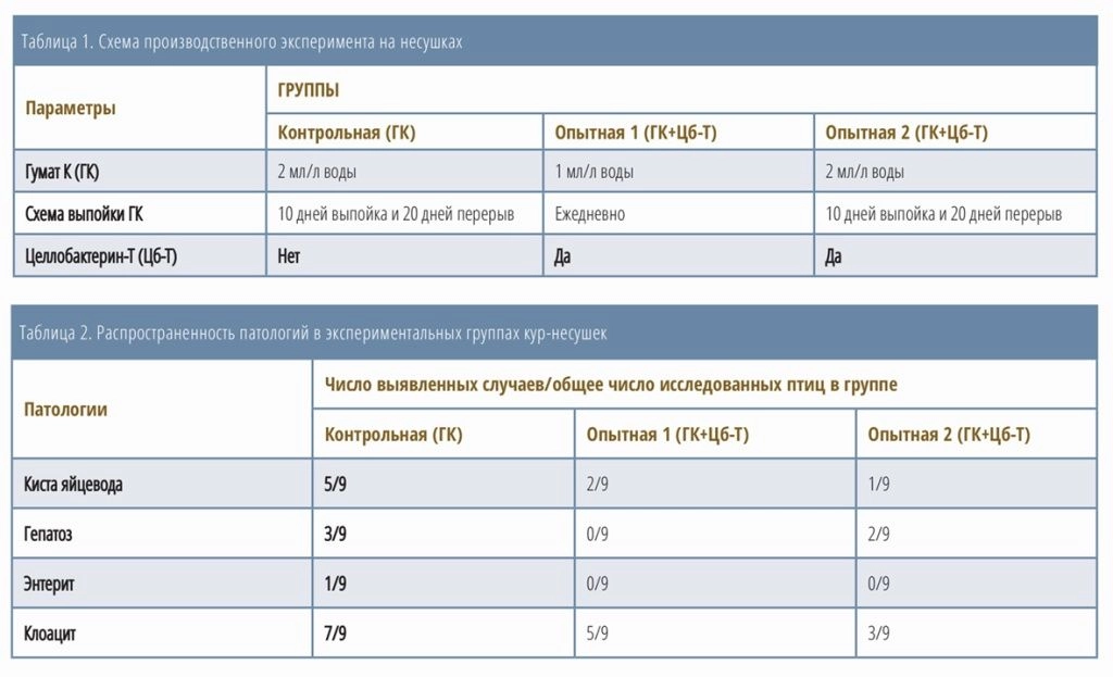 СХВ_кач 1_2026-52.jpg