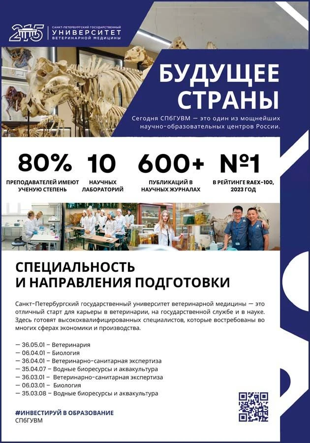 Модуль вептакадемия_3.jpg