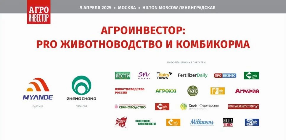 заставка.jpg