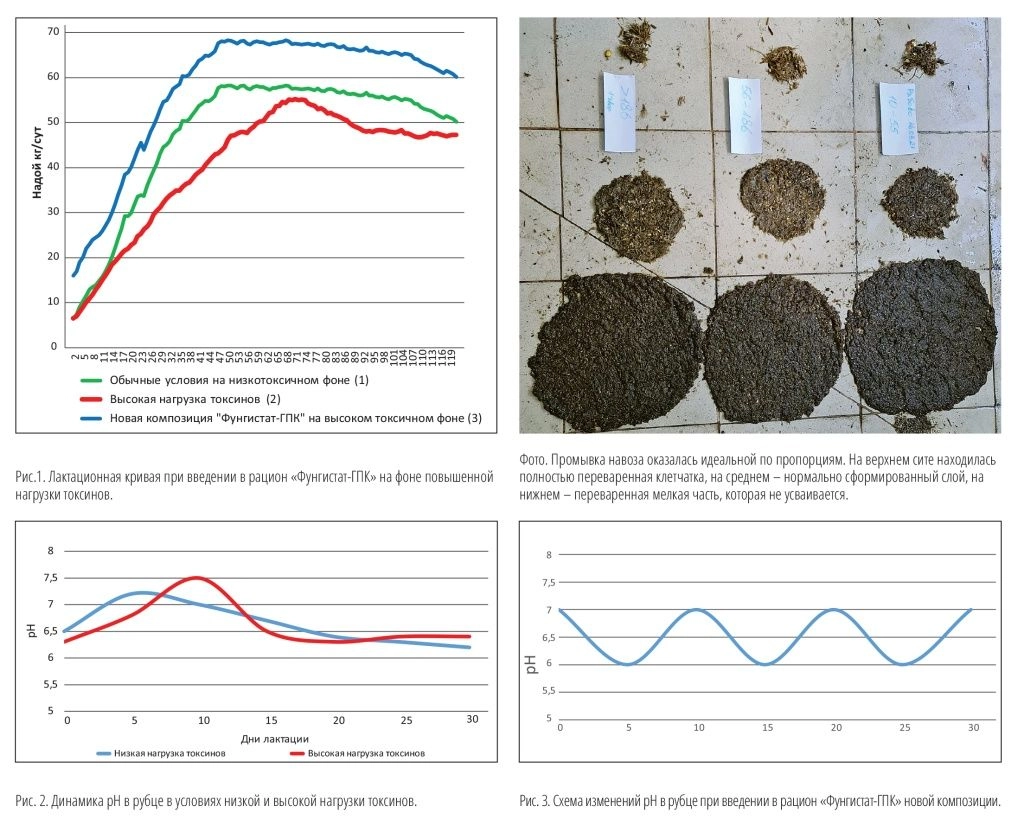 МАКЕТ_СХВести_№4_2025_кач весь-40.jpg