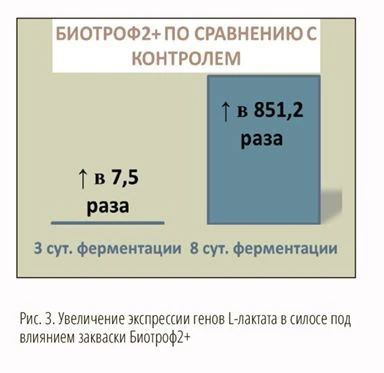 МАКЕТ_ кач 2_2024-30-2.jpg