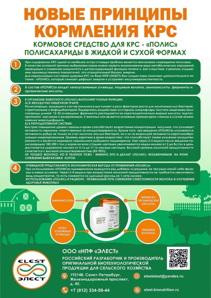 полис в печать в статью ПРАВКА.jpg