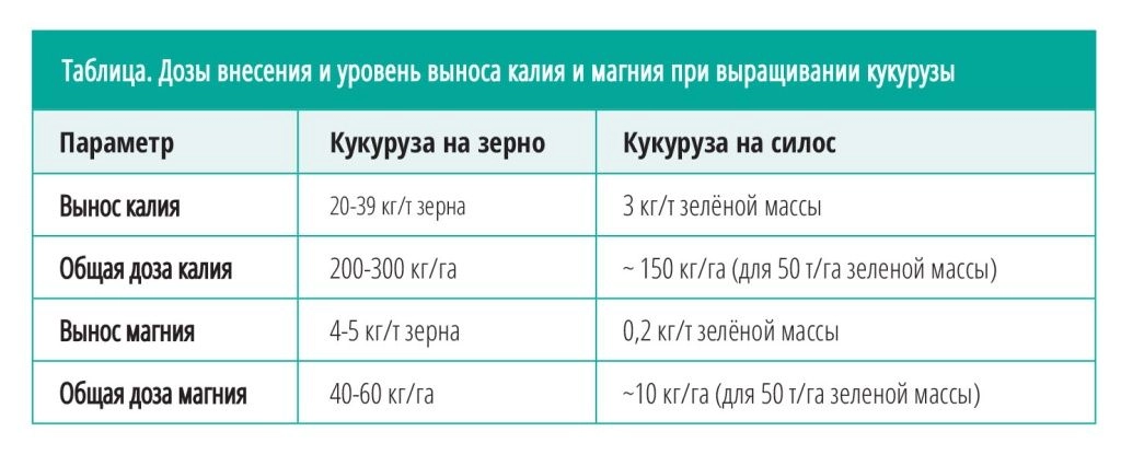 СХВ 2_2026 кач-23.jpg СХВ 2_2026 кач-23.jpg