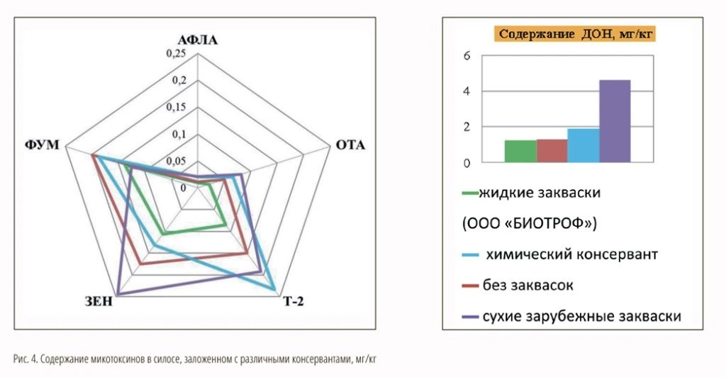 МАКЕТ_ кач 2_2024-30-3.jpg