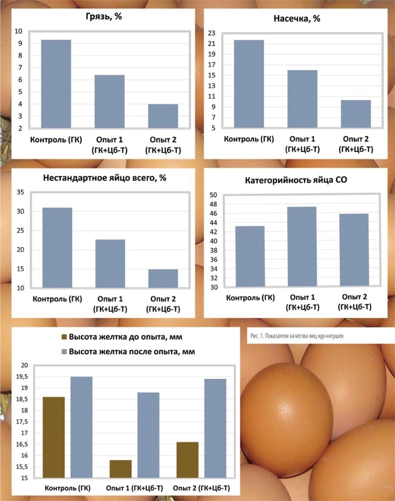 СХВ_кач 1_2026-51.jpg