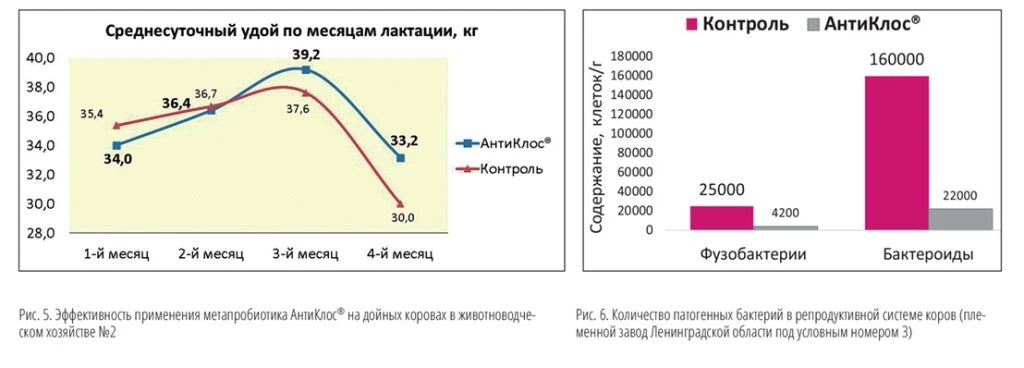 Макет СХ-ВЕСТИ_3_2024 весь кач-39.jpg