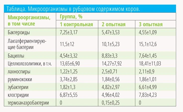 СХ-ВЕСТИ_1-2025_весь кач-41-1.jpg