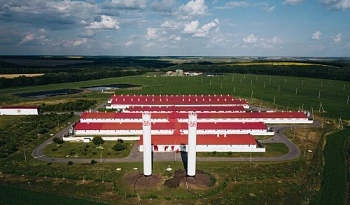 Нейронная сеть на свинокомплексах «Агро-Белогорья»