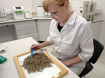 Шрот из Китая прошел проверку