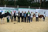 Страсти «Белых ночей»