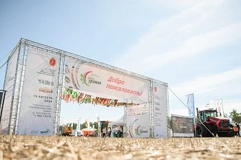 День Тульского поля