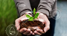 Плодородие почвы как ключевой фактор сельскохозяйственной продуктивности