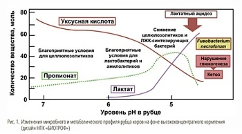 Как продлить продуктивное долголетие?
