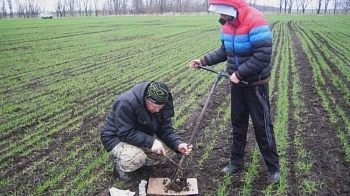 Ранневесенняя подкормка азотом