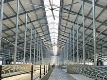 Новая ферма на 800 дойных коров