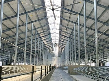 Новая ферма на 800 дойных коров