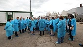О ведении молочного бизнеса