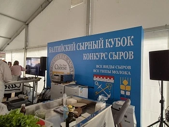 Назван лучший сыр