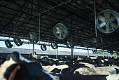 Слагаемые комфорта