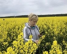 Итоги работы отдела по защите растений Ленинградского филиала ФГБУ «Россельхозцентр» в 2025 году