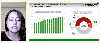 Птицеводство. Фаза зрелости