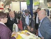 Грубые корма для свиней