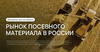 Аналитика рынка