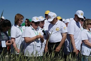 Компания Био-Хутор поделилась опытом органического земледелия