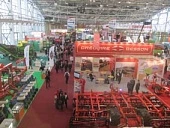 Осенний фейерверк событий