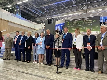 Крупнейшая по кормам