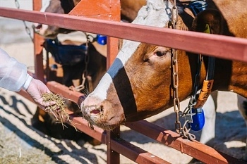 Ольга Палкина подвела итоги работы в 2025 году