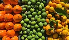 Сочинские аграрии намерены занять до 40% российского рынка субтропической продукции к 2035 году