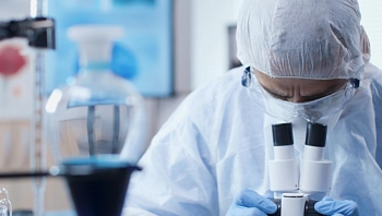 Ученые разработали новый способ быстрой дифференциации генотипа вируса ящура SAT-2/XIII