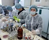 Проверено: антибиотиков нет