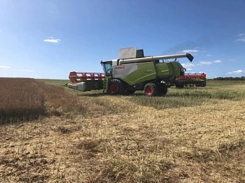 ПАРТНЕР CLAAS РЕАЛИЗОВАЛ  БИЗНЕС-ПРОЕКТ ПО ВОЗДЕЛЫВАНИЮ ЯРОВОГО РАПСА С МАРЖИНАЛЬНОЙ ПРИБЫЛЬЮ 60%