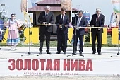 Золото Нивы