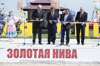 Золото Нивы