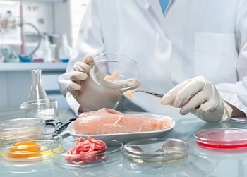 Разработана новая методика определения антибиотика линкомицина