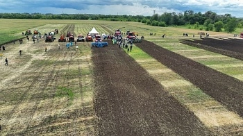 Себестоимость молока начинается в поле