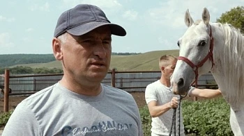Продал «Джип» и приобрёл лошадей