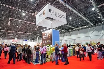 Всего три месяца до старта