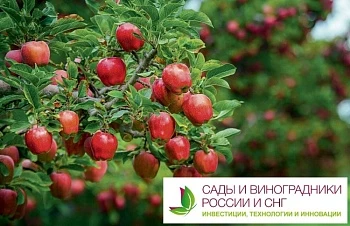 Более 150 руководителей уже подтвердили своё участие