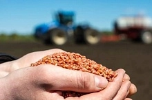 Стратегические ориентиры растениеводческого направления