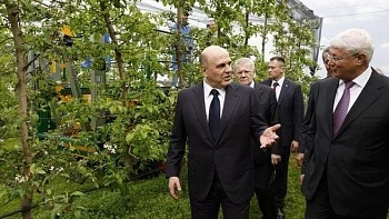 Агрострахование снижает риски