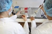 Геномы отредактируют