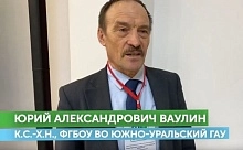 Как правильно подобрать культуры для органического севооборота?
