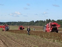 Удержание квалифицированных кадров в агробизнесе часто дешевле найма