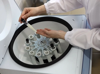 Отечественные производители заквасок и ингредиентов обеспечат российский рынок